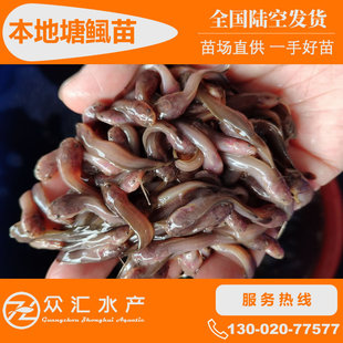 �������X�� ���S���X�~�� �����~�� �����T�~�� ��횺����T