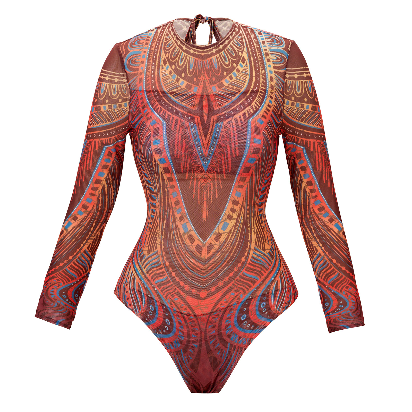 Women's Retro Mesh Long-sleeve One-piece Swimsuit For Beach And Pool_voghion.com