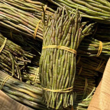 新鲜铁皮石斛枫斗石斛现摘金钗石斛中药材新鲜可食用煲汤产地直发