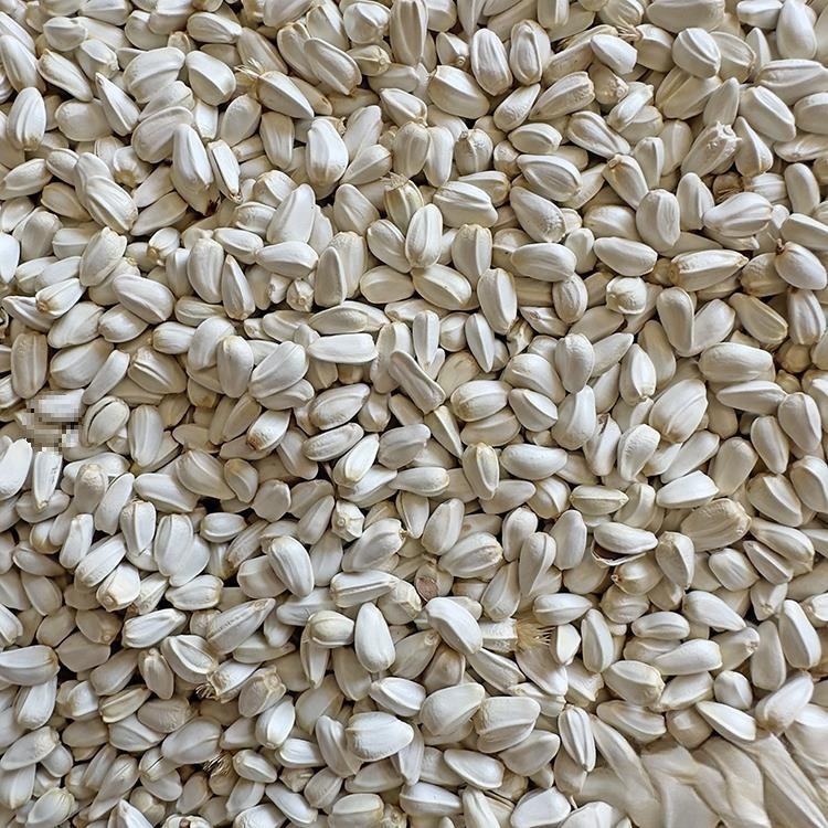 红花籽 红花子 红花籽 鸽粮 鸟食鸟粮仓鼠饲料 小宠零食 50斤中国