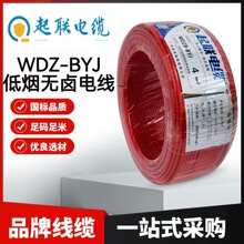 ����|WDZ-BYJ�o�u�͟���ȼ늾����g���͏���100��/������Դ