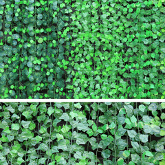 Floral green leaves, simulated grape leaf rattan, winding decorative landscaping, plant wall, pipe, ceiling vine, fake green plants