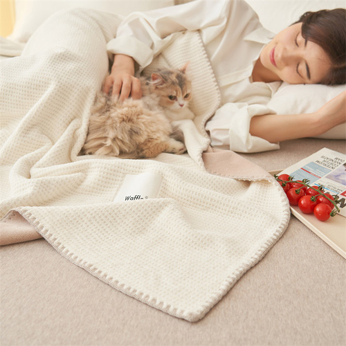 Waffle blanket plush blanket office nap sofa cover blanket coral velvet four seasons double layer air conditioning blanket wholesale