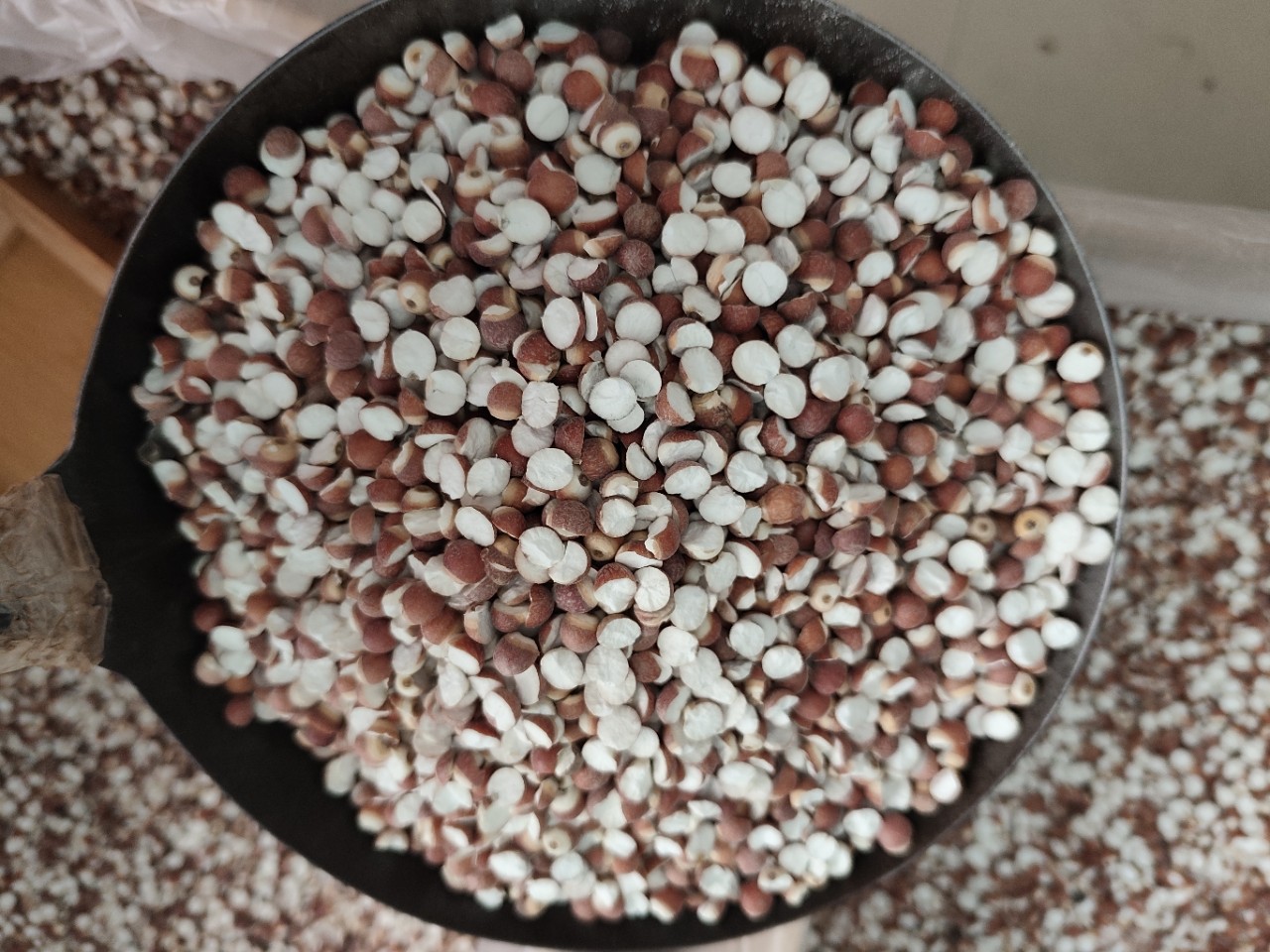 Dried Euryale Seed Qian Shi 芡实 Whole Round Kernels 10mm Grade 1 Herbal Grain for Soup and Congee in use