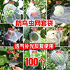 水果套袋无花果防鸟防虫袋束口草莓袋批发透气葡萄防果蝇防虫网袋|ru