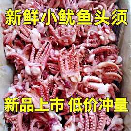 小鱿鱼须新鲜速冻鱿鱼头鱿鱼爪净重无冰衣八爪须烧烤餐饮食材