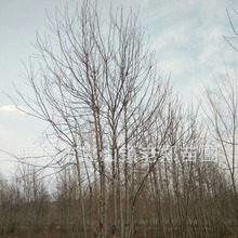 ���Թ����������~�������@�־��^�G����ľС�^�e�����֦���~��