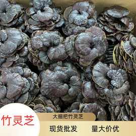 野生竹灵芝捆把大号1kg中药材产地直销灵芝散装药材批发竹灵芝