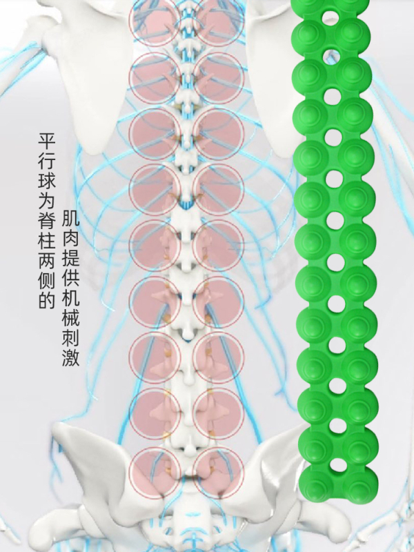 普拉提毛毛虫脊柱矫正腰背部肌肉放松按摩舒缓拉伸器|undefined