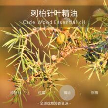 ���_�؁� | �M�� �ЙC �̰���~/�̙uľ �η�����  ���l