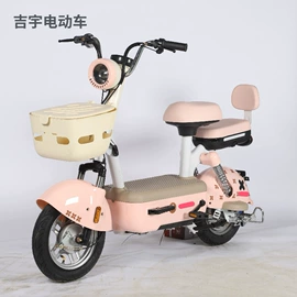 其他电动车;电动三轮车