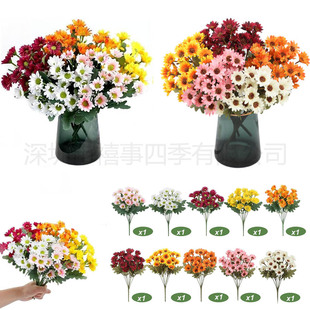 �羳������滨 7��С�r�����컨��ʾռٻ���������廨�Ҿ��b�