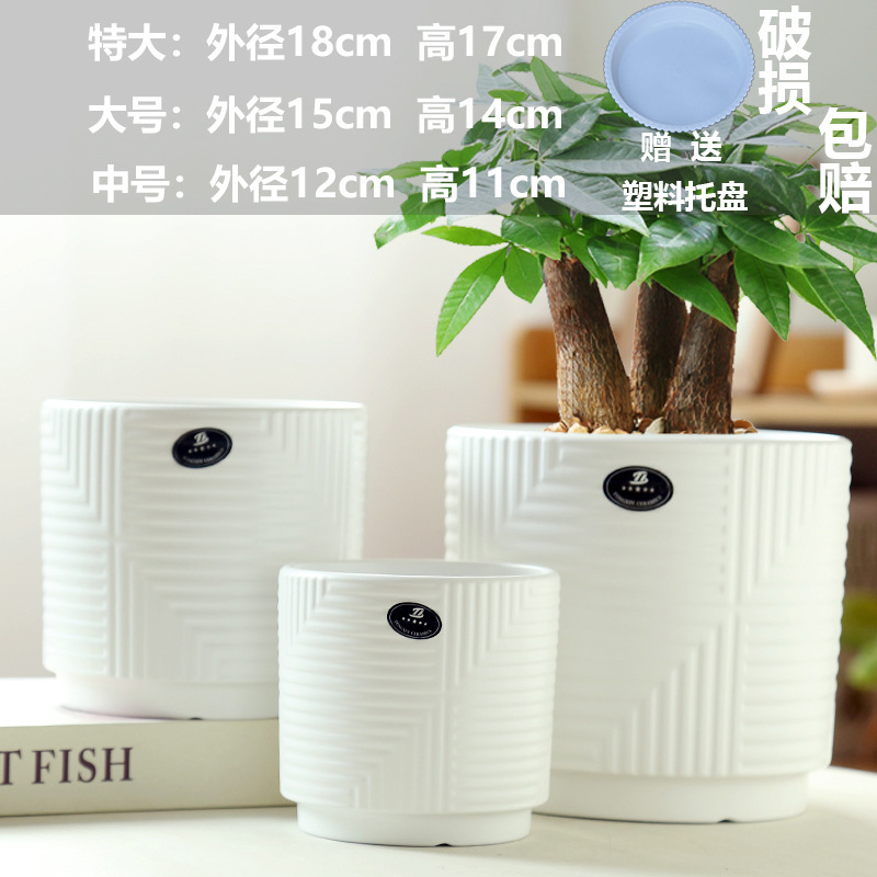 直販の陶器製植木鉢、胡蝶蘭専用鉢、家庭用リビングルーム、一件代発送|undefined