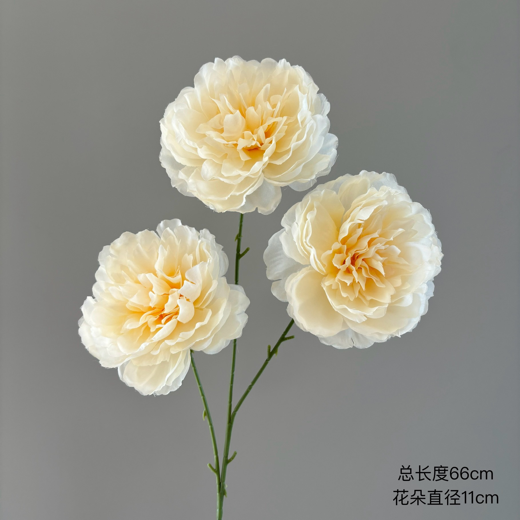 3 루이 모란