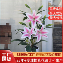 仿真花老虎兰花家居桌面装饰摆放假花婚庆仿真百合花源头工厂批发