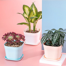 园艺育苗小塑料花盆白色正方形花盆底托北欧简约加厚塑料多肉花盆