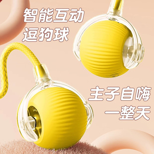 �����ԄӶ�����늄ӝL�����D�����򹷹�؈�����˽␞��ҧ�������