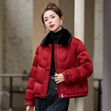 ����ʽ���L�̿���q��Ů2025�����¿�tɫ�P��С������Ᵽů����