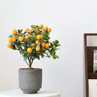 �ļ���ۘ������Ԏ�����ʳ�ÿ͏d��ؔ������ֲ���҃���С�����辰