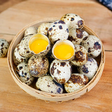 ���g�������r25/50/100ö�r��ɢ�B�B����ˮ����oʳ