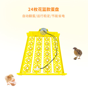24ö�����C���PС�ͷ�����������P�u�������g���B�������з����P