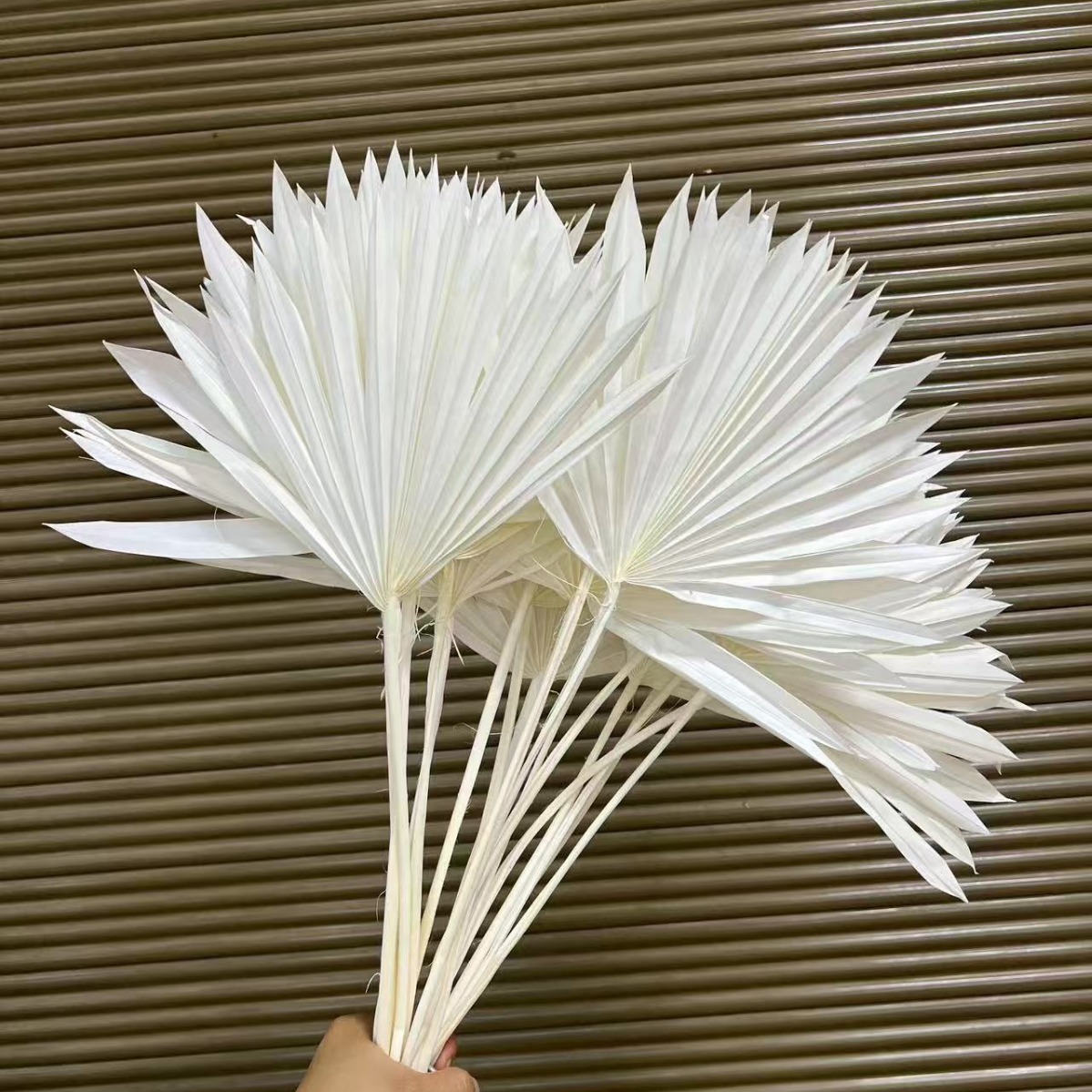 Natural Guanyin Fan Dry Flower Leaf Fan Palm Palm Polyna Sunflower…