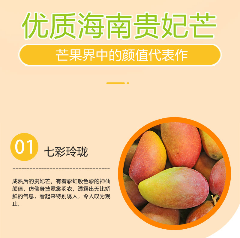 海南貴妃芒_03