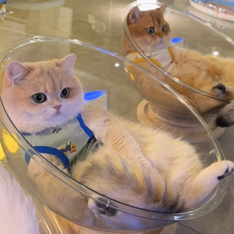 宇宙飛行士の猫の巣四季通用の高透アクリルの木の回転盤の氷の巣の猫のおもちゃの猫のベッドの一体の春夏|undefined