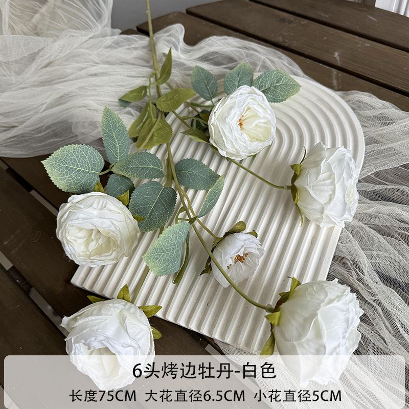 6 머리 구운 모란