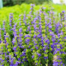 ݷNݻܷNӼ̨ͥ҃NֲݷNһl