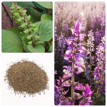 ���K�N�ӷN���������Կ�ʳ���K�����K�~�Ϸ��ѷN�ļ����߲��K���~