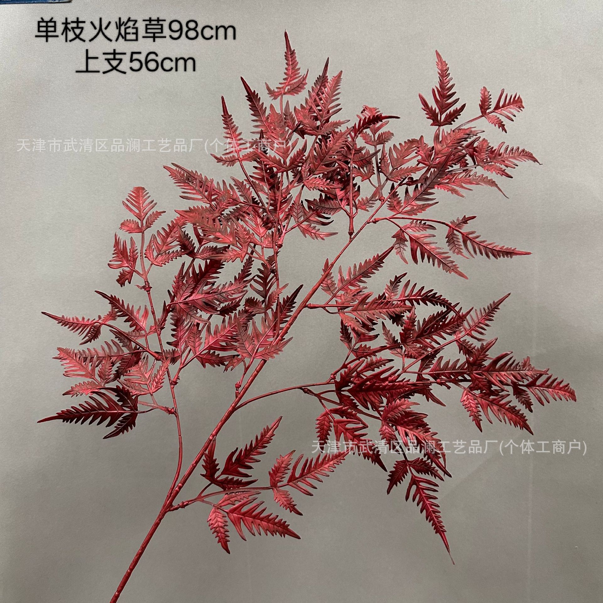 불꽃 잔디