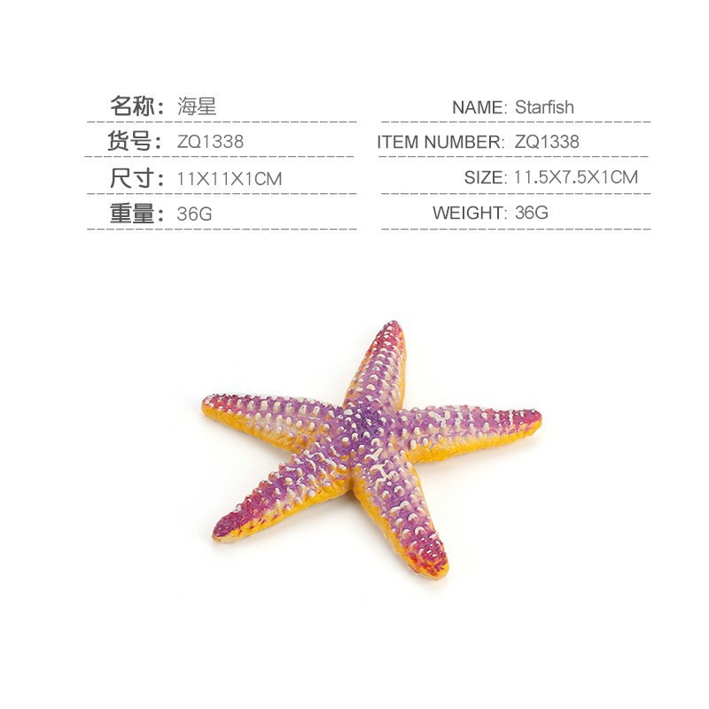 Estrella de mar PL127-1338 36G