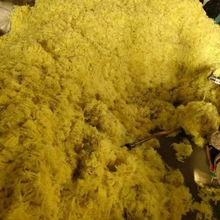 ���]�����w�S ��ĥ���� 1.5mm���w�S ��������ܷ����