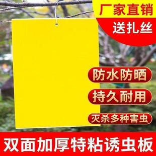 Yellow Sticky Trap for Greenhouse Vegetable Fields and Orchards to Repel Insects, Mosquitoes, Wasps, Flies, and Thrips