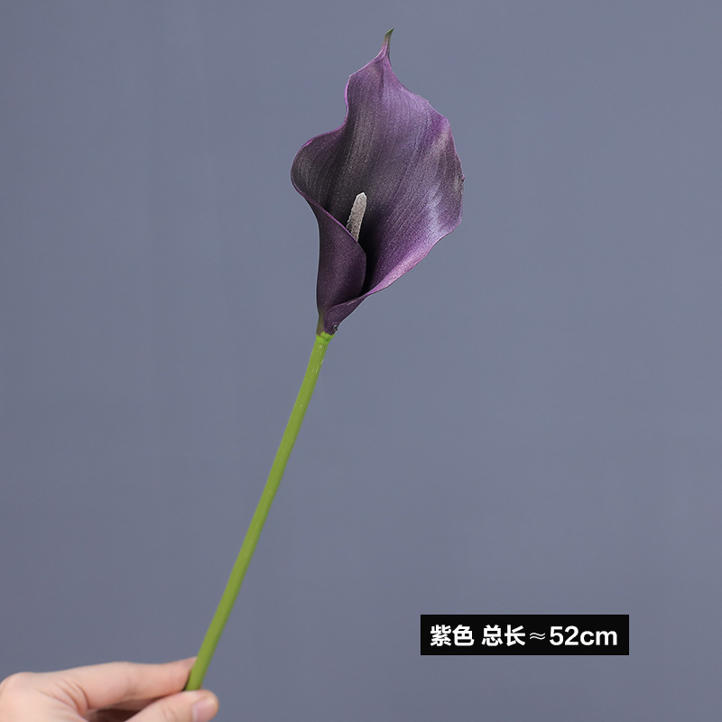 보라색 트럼펫 48cm