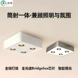 射灯;室内壁灯;吸顶灯