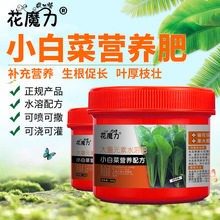 СײˌàIB޲ëͲ˵̨ͥļBoСˈ@÷