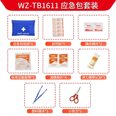 First Aid Kit Set, Portable Kempinq və səyahət - blue
