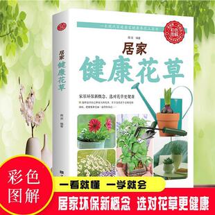 �Ӽҽ������� ��ɫ�D�� �����B�����ߕ���ˇ�������@���B������ֲ