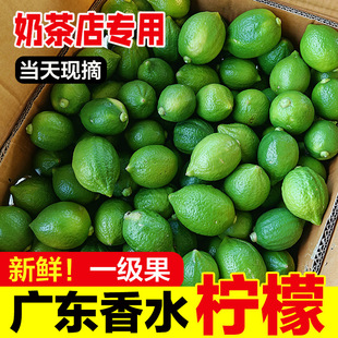 ���ڏV�|��ˮ�����̲�������r�o�ѱ����֭����������һ����