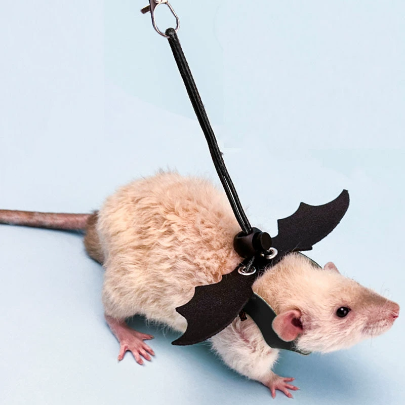 Хомячок тянет веревку, чтобы избежать побега, чтобы укусить веревку