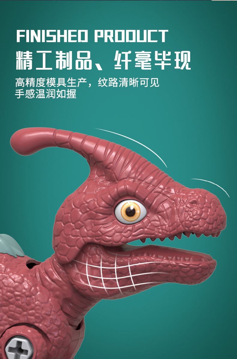 恐龙详情中文_11