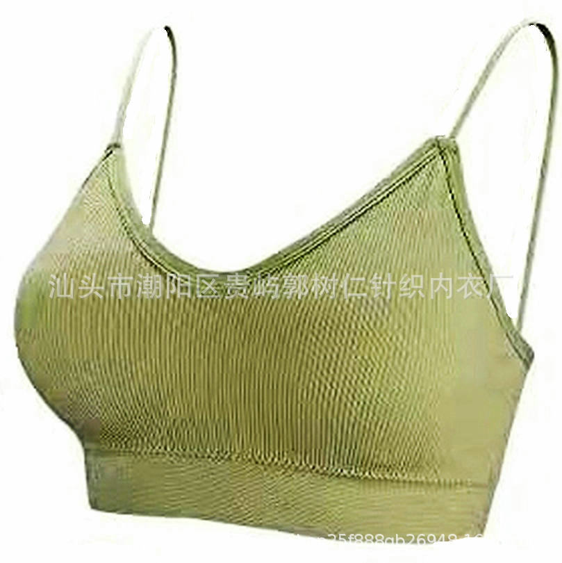 콩 녹색