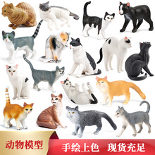 �羳����ʵ��è����è��ˣè���Ŵ��߰칫����ɰ�װ��Ʒ�����ڼ�