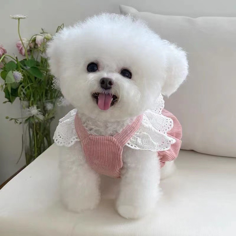 애완 동물 옷 가을과 겨울 새로운 코듀로이 호박 원피스 견인 버클 테디 베어 개 고양이 따뜻한 레이스 원피스
