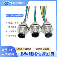 M12防水连接线工业传感器注塑成型抗干扰传感器 多芯数规格可调整