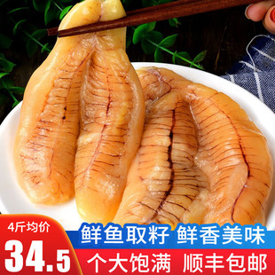 �O����~ �S���~�� ���u���r����S���~ ���r���S�~���~�� �S���~