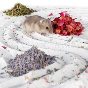 ԡɳ�}�����坍ϴԡ��Ʒ��ɳ����؈����õ�屡��޹�²�ɳĮ��ɰ