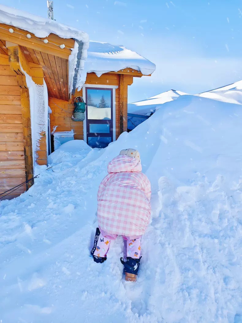 QQ图片20250103110423